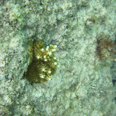 IMG_0100 IMG_0100