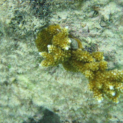 IMG_0102 IMG_0102