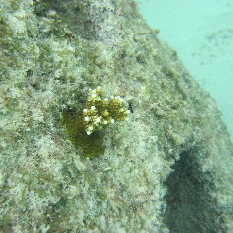 IMG_0103 IMG_0103