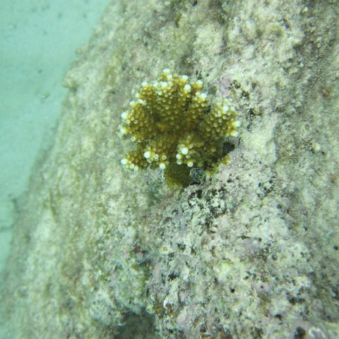 IMG_0104 IMG_0104