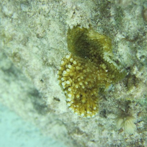 IMG_0106 IMG_0106