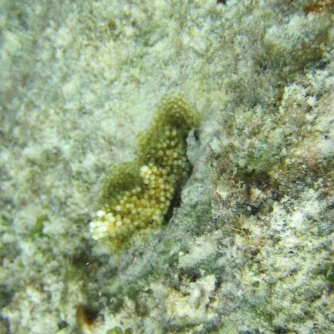 IMG_0107 IMG_0107