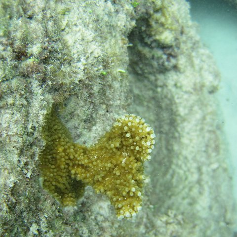 IMG_0108 IMG_0108