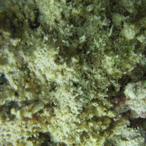 IMG_0109 IMG_0109
