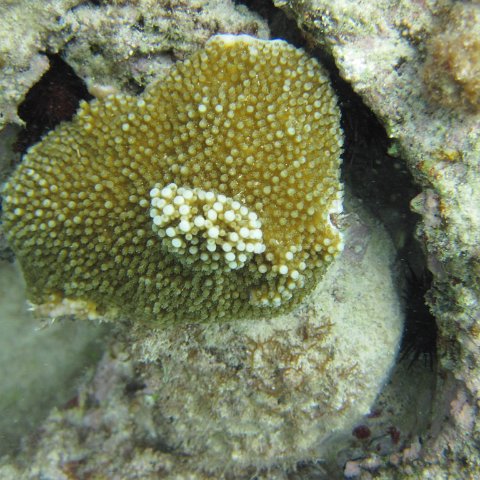 IMG_0111 IMG_0111