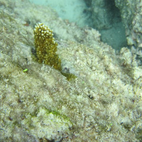 IMG_0112 IMG_0112