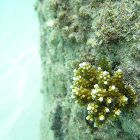 IMG_0114 IMG_0114