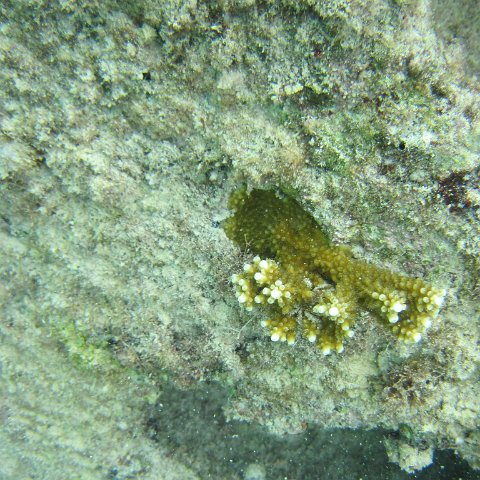 IMG_0116 IMG_0116