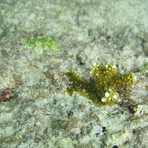 IMG_0117 IMG_0117