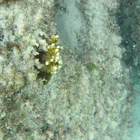 IMG_0118 IMG_0118
