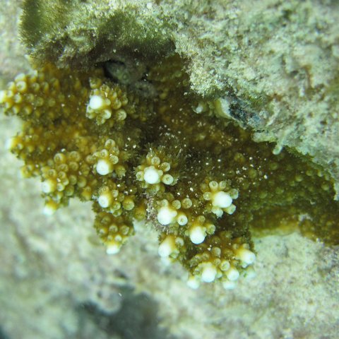 IMG_0119 IMG_0119