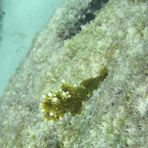 IMG_0120 IMG_0120