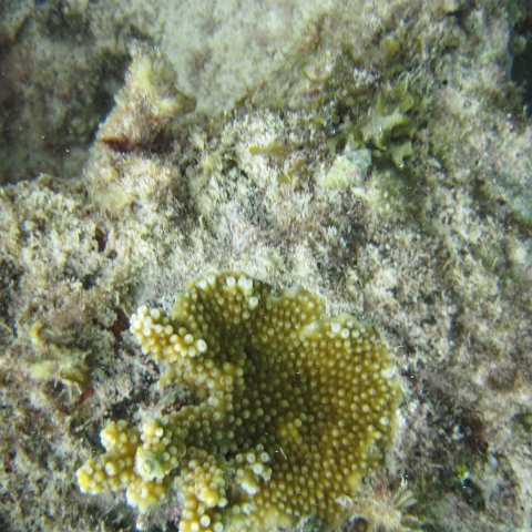 IMG_0122 IMG_0122