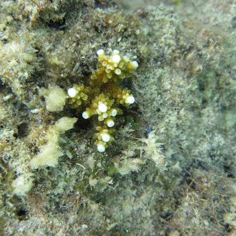 IMG_0124 IMG_0124