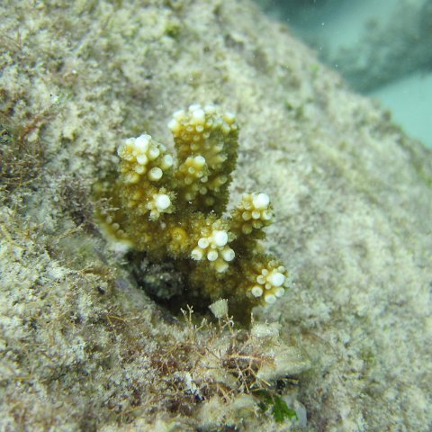 IMG_0125 IMG_0125