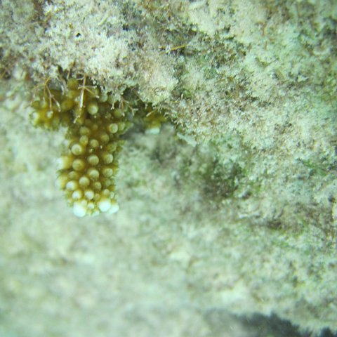 IMG_0126 IMG_0126