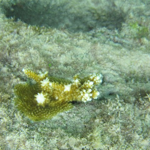 IMG_0127 IMG_0127