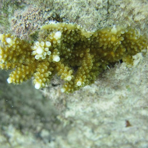 IMG_0128 IMG_0128