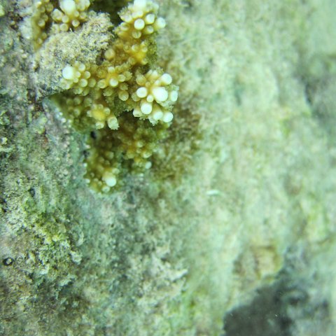 IMG_0130 IMG_0130