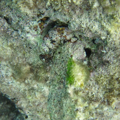 IMG_0133 IMG_0133