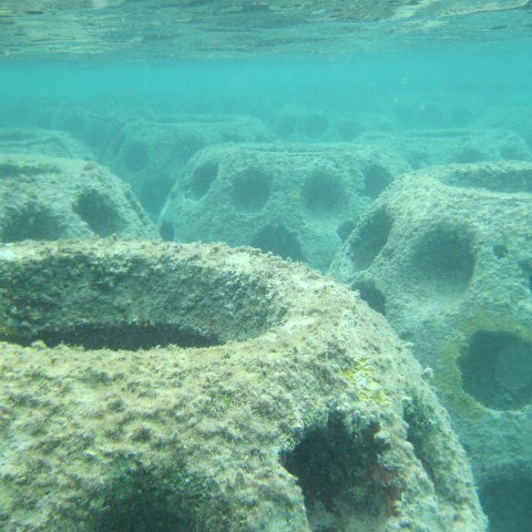 IMG_0135 IMG_0135