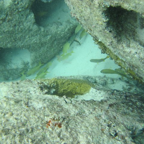IMG_0137 IMG_0137