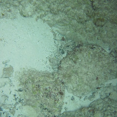 IMG_0140 IMG_0140