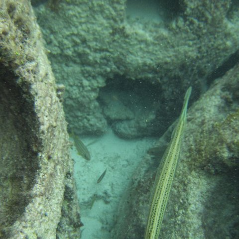 IMG_0142 IMG_0142