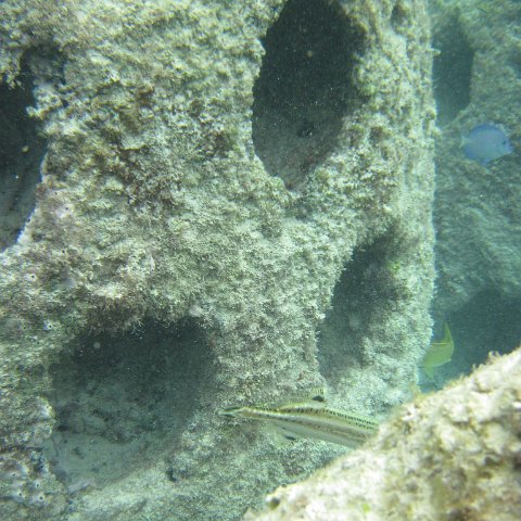 IMG_0143 IMG_0143
