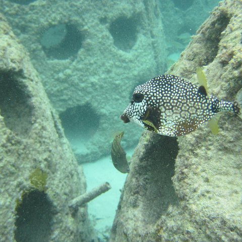 IMG_0145 IMG_0145