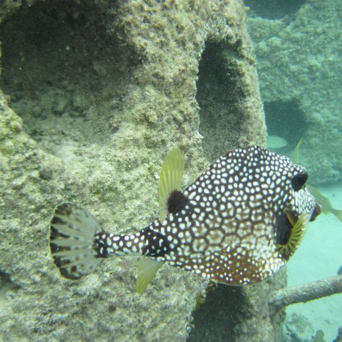 IMG_0146 IMG_0146