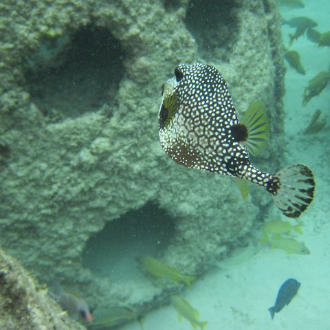 IMG_0147 IMG_0147