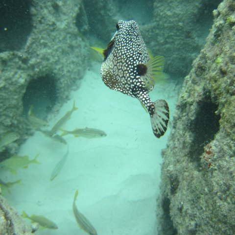 IMG_0148 IMG_0148