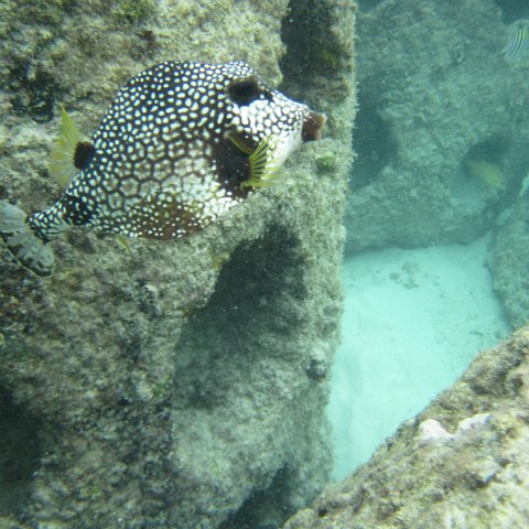 IMG_0149 IMG_0149