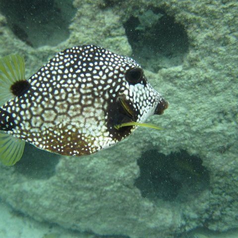 IMG_0150 IMG_0150