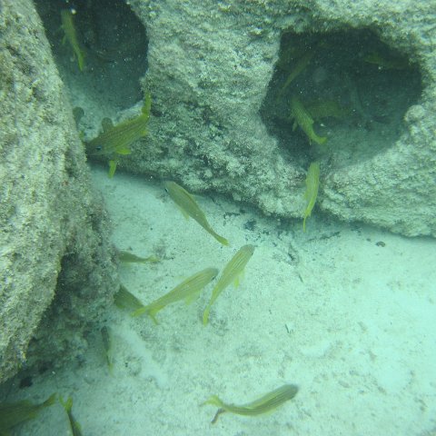 IMG_0151 IMG_0151