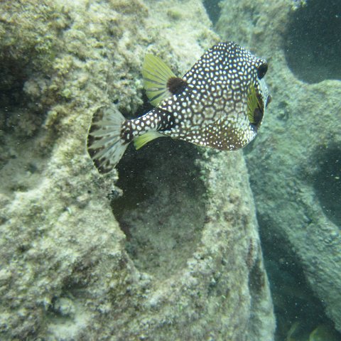 IMG_0153 IMG_0153