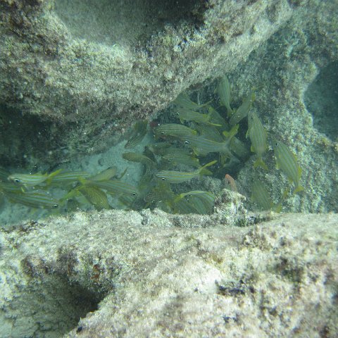 IMG_0154 IMG_0154