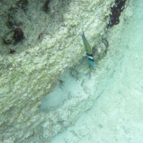 IMG_0156 IMG_0156