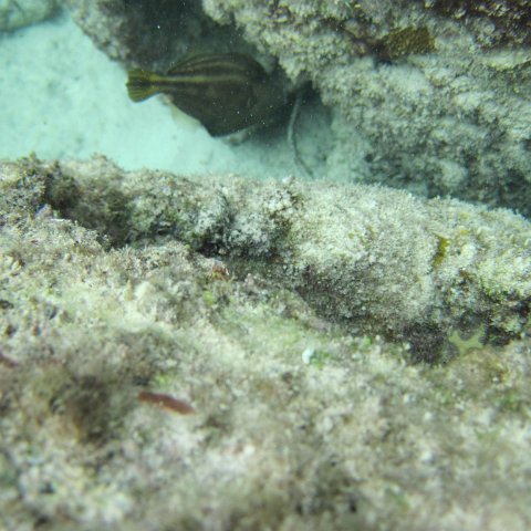 IMG_0157 IMG_0157