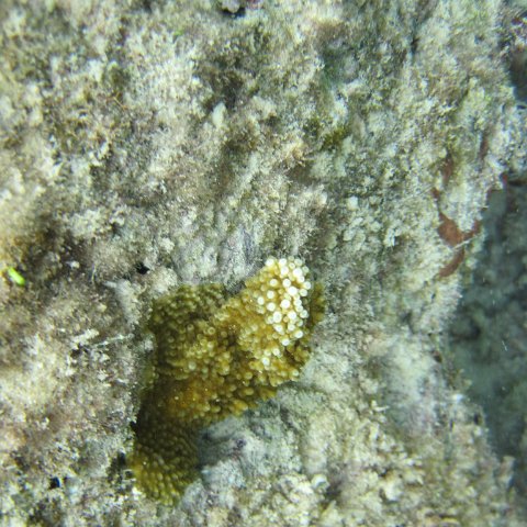 IMG_0160 IMG_0160