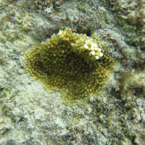 IMG_0161 IMG_0161