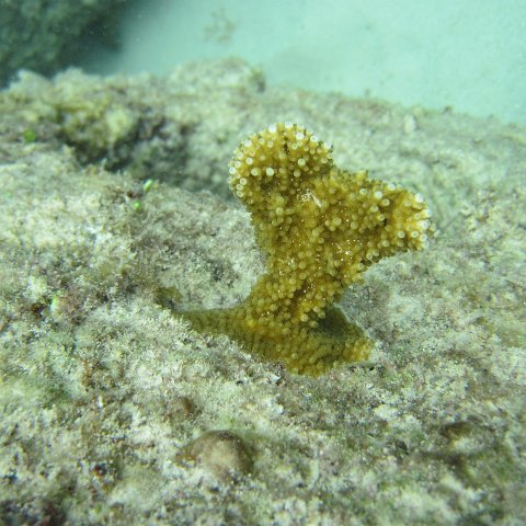 IMG_0162 IMG_0162