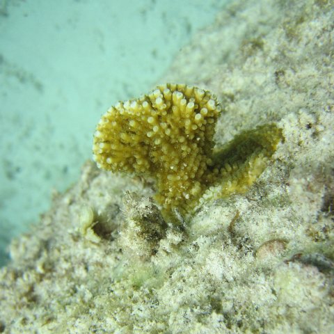 IMG_0164 IMG_0164