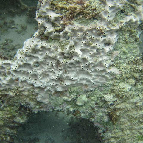IMG_0165 IMG_0165