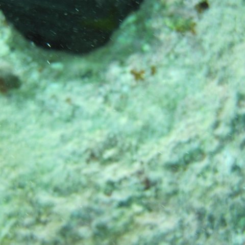 IMG_0167 IMG_0167