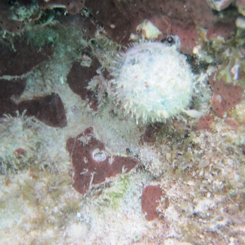 IMG_0169 IMG_0169