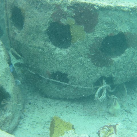 IMG_0170 IMG_0170
