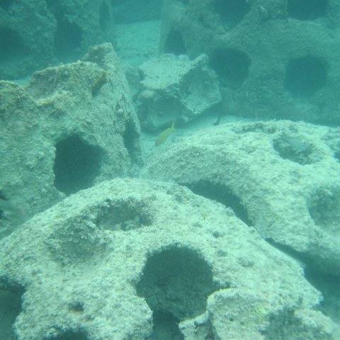 IMG_0173 IMG_0173