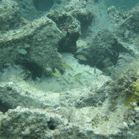 IMG_0175 IMG_0175